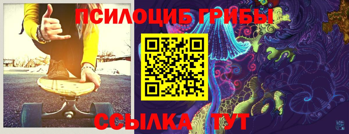 Псилоцибиновые грибы Psilocybe Кириши