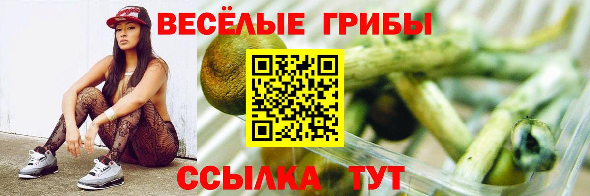 Кириши  Псилоцибиновые грибы Psilocybe  Вход с VPN 